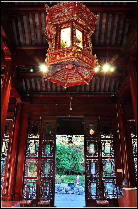 DSC_2156_1.jpg