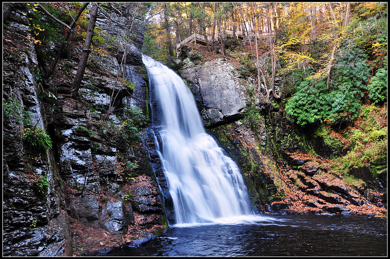 DSC_1478_1.jpg