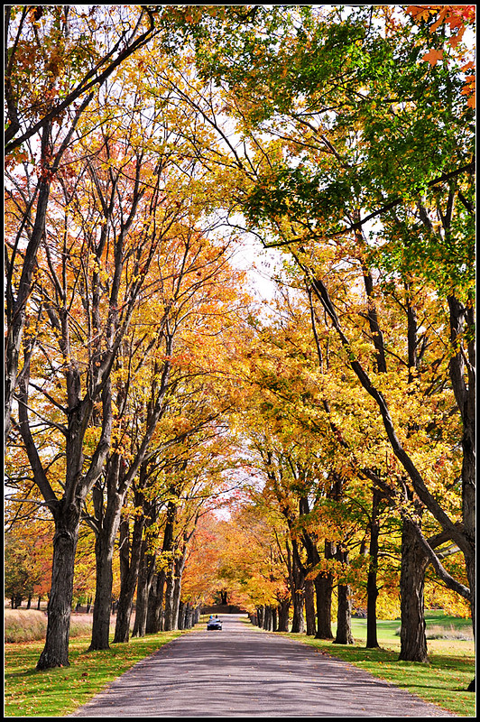 DSC_1617_1.jpg
