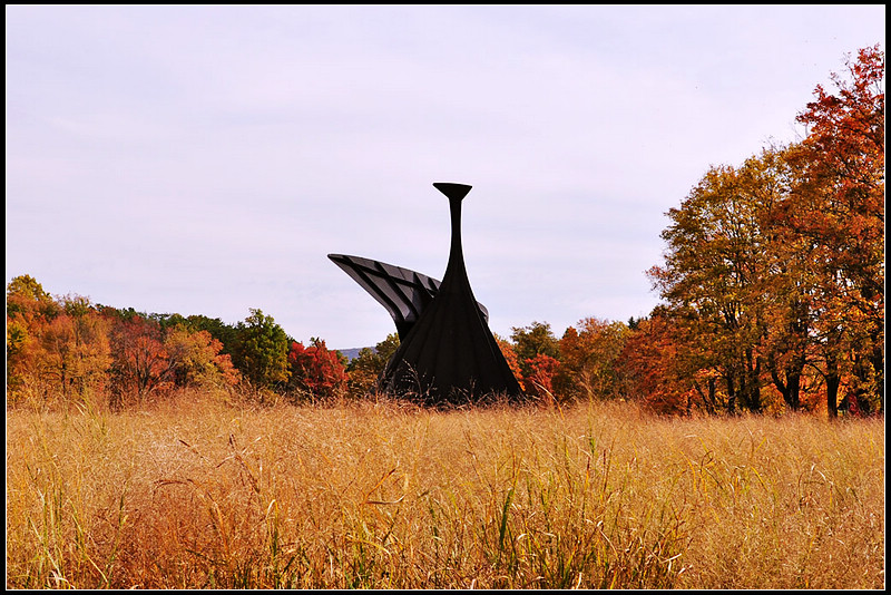 DSC_1618_1.jpg