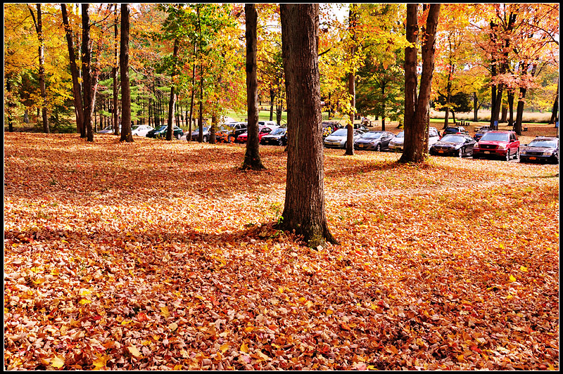 DSC_1633_1.jpg