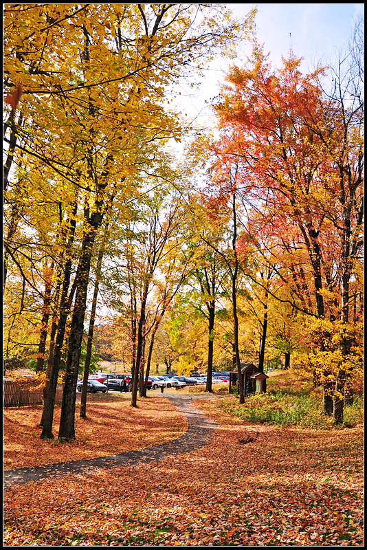 DSC_1649_1.jpg