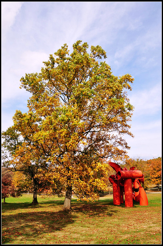 DSC_1710_1.jpg