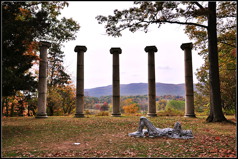 DSC_1772_1.jpg
