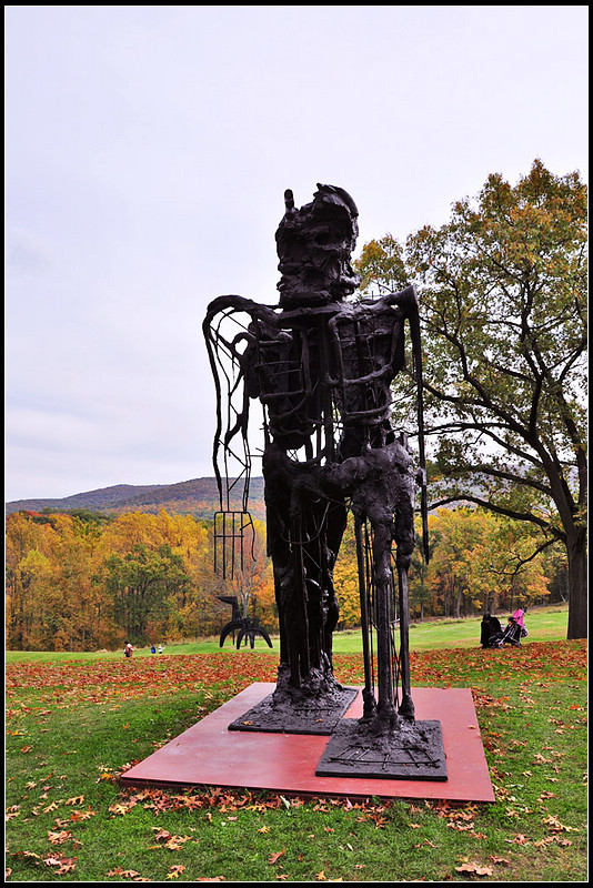 DSC_1786_1.jpg