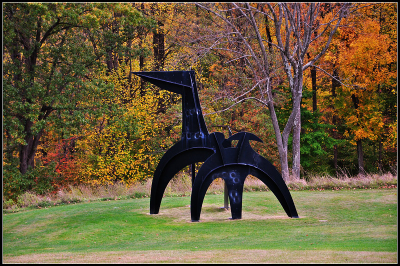 DSC_1788_1.jpg