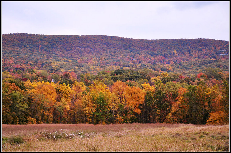 DSC_1858_1.jpg