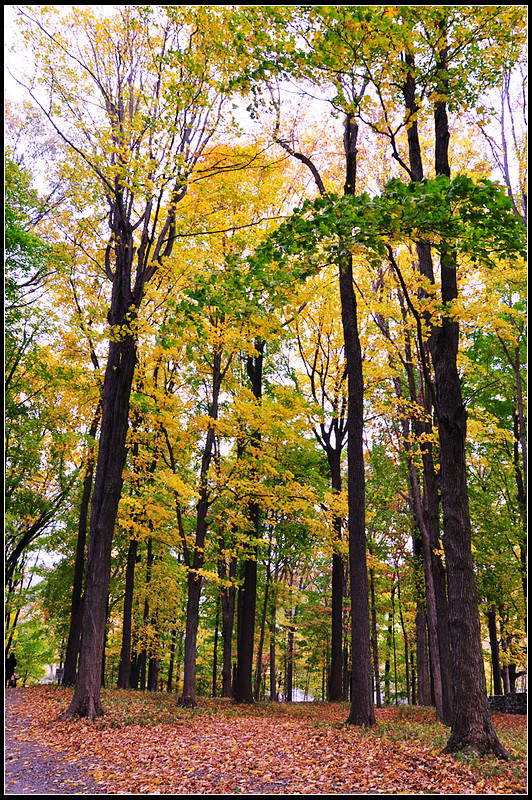 DSC_1886_1.jpg