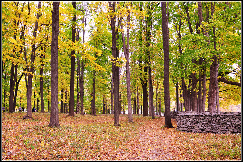 DSC_1888_1.jpg