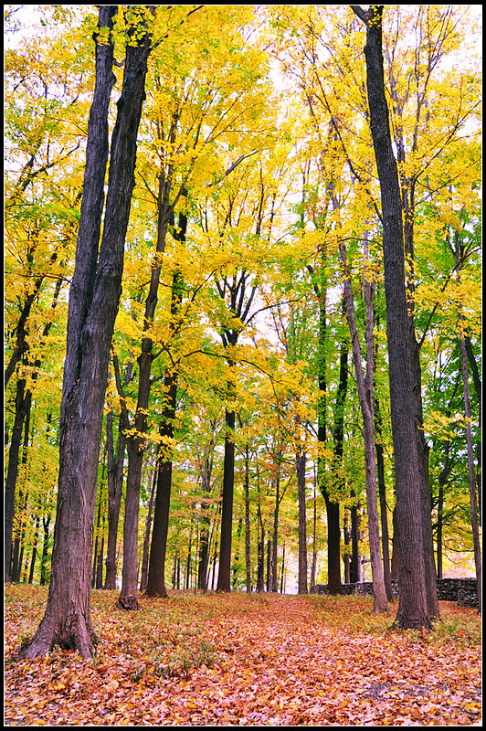 DSC_1892_1.jpg