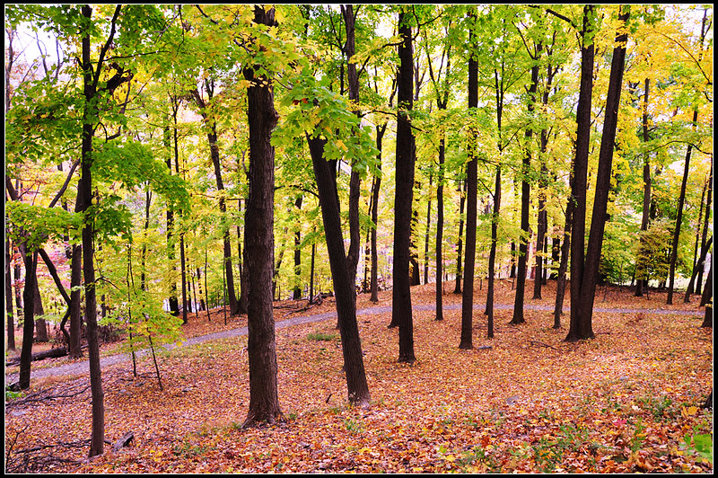 DSC_1897_1.jpg
