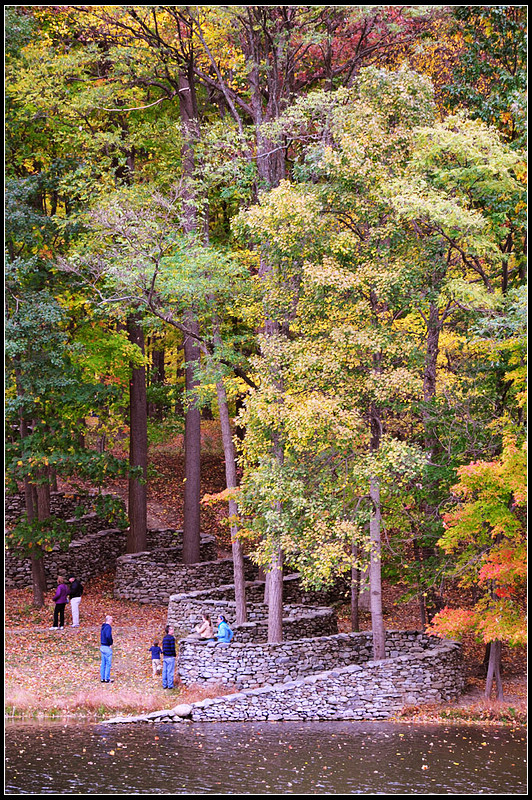 DSC_1955_1.jpg