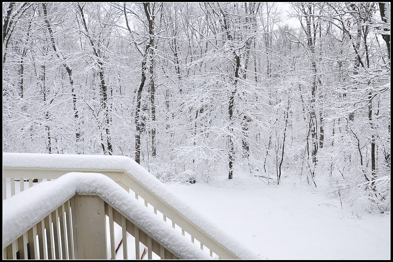 DSC_2076_1.jpg