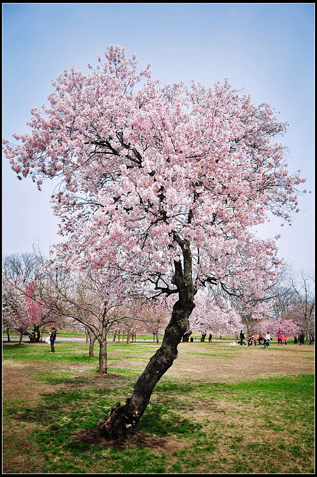 DSC_0942_1.jpg