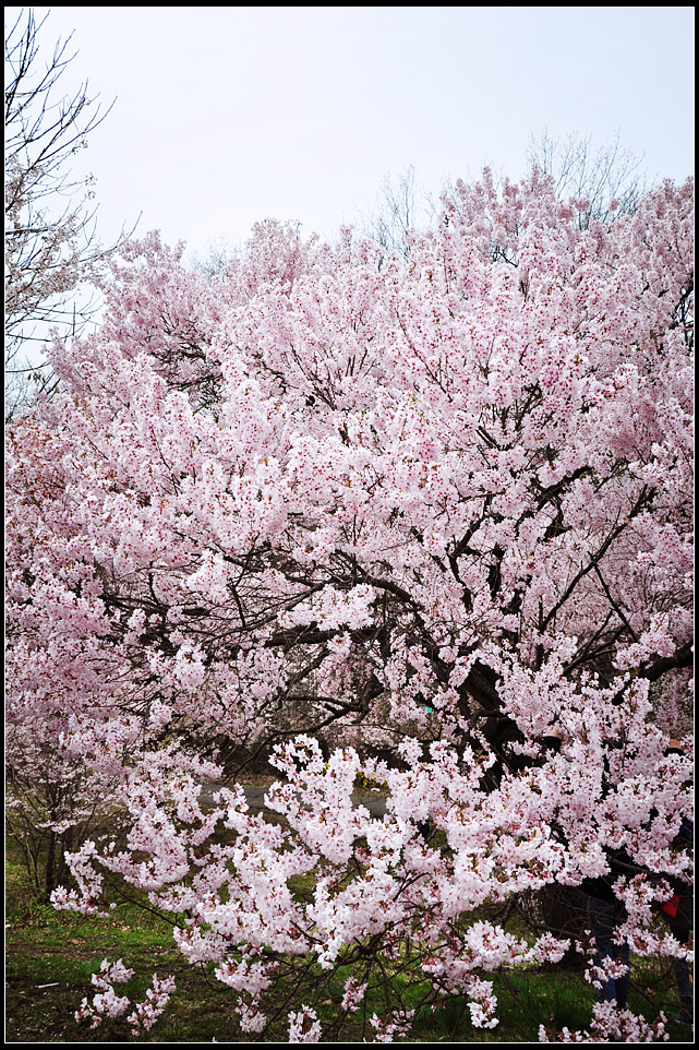 DSC_1148_1.jpg