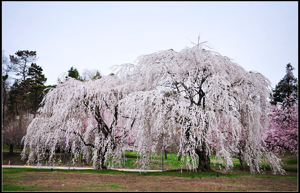 DSC_1178_1.jpg