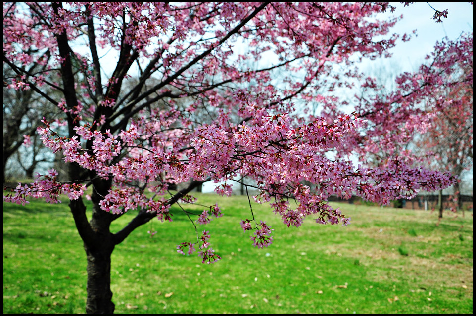 DSC_0506_1.jpg