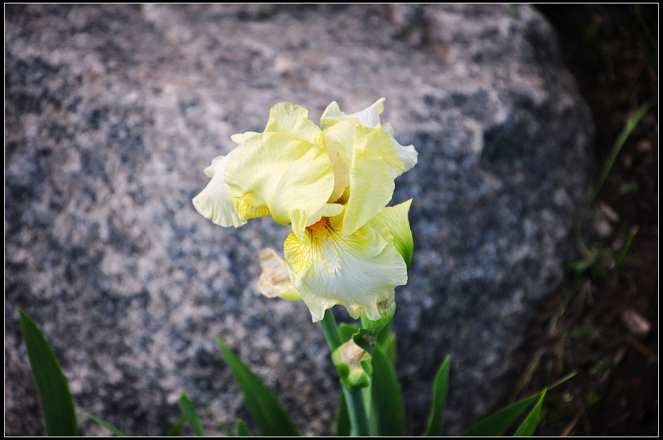 DSC_1572_1.jpg