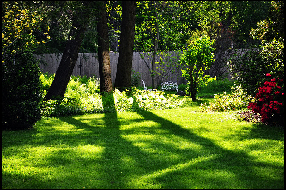 DSC_1694_1.jpg