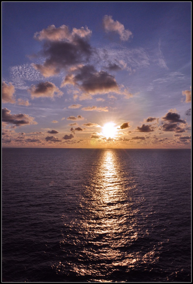 DSC_3619_1.jpg