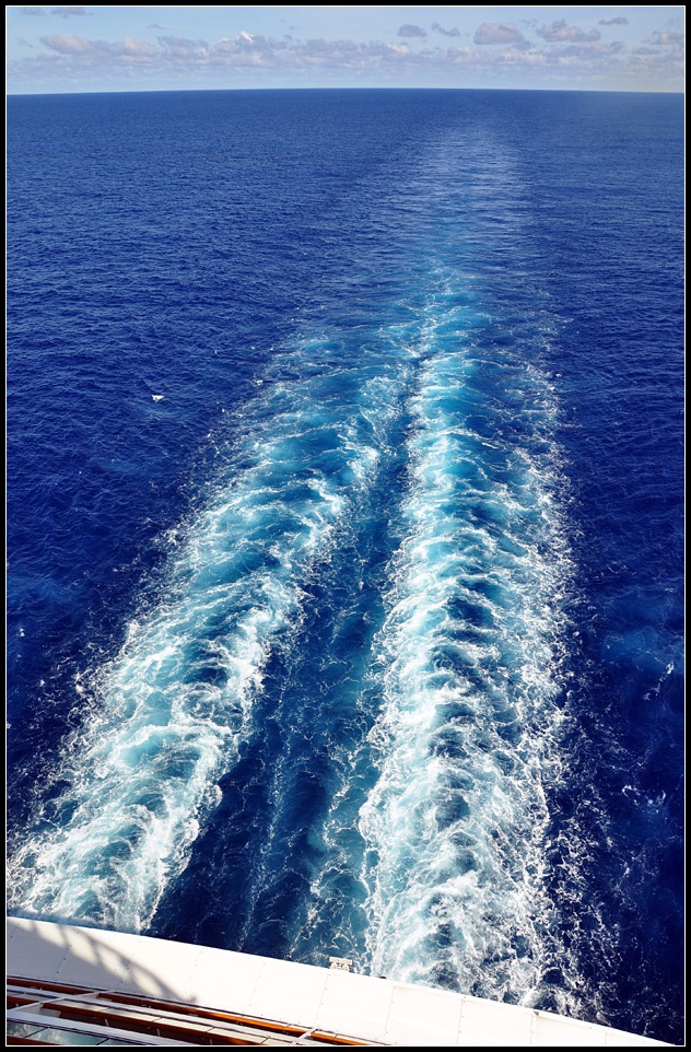 DSC_3676_1.jpg