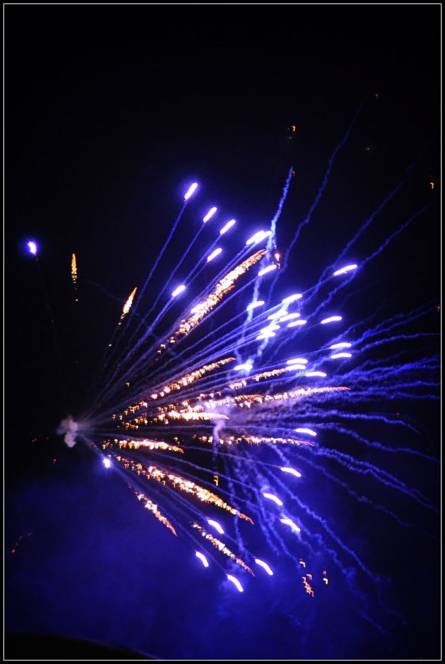 DSC_5712_1.jpg