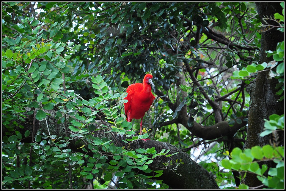 DSC_4049_1.jpg