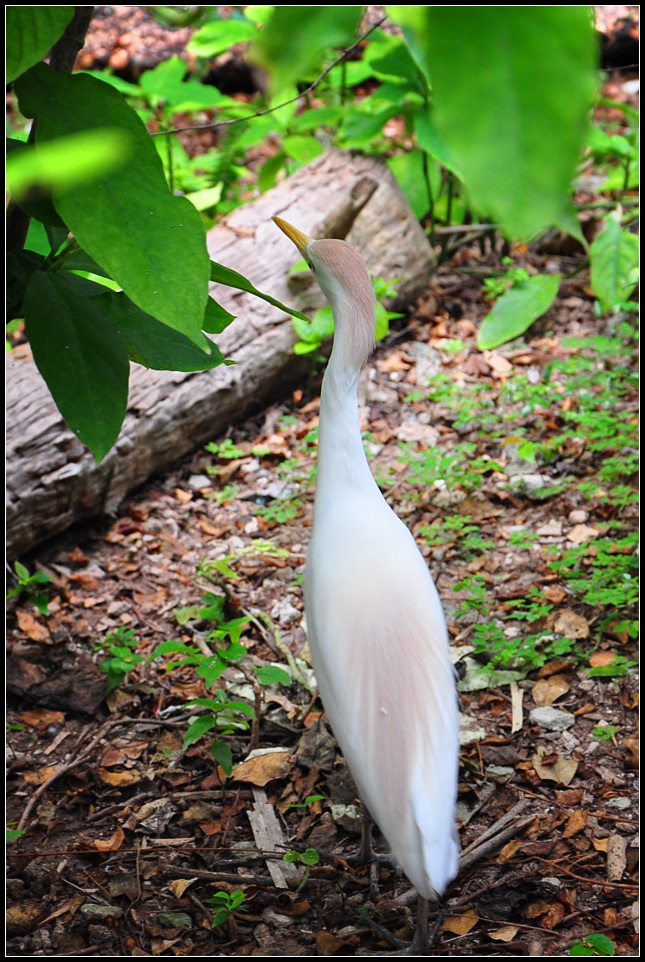 DSC_4055_1.jpg