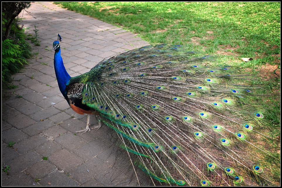 DSC_4099_1.jpg