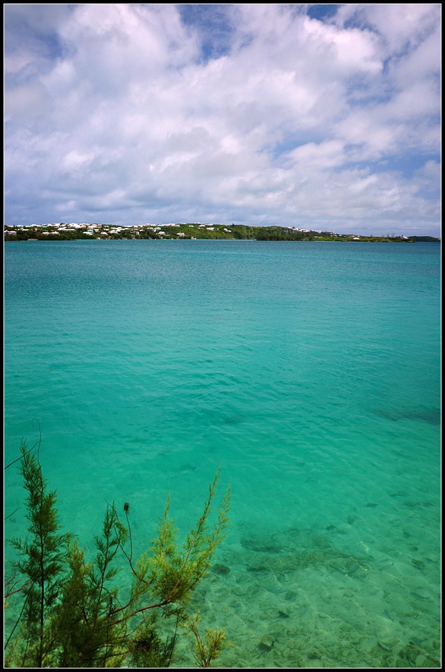 DSC_4115_1.jpg
