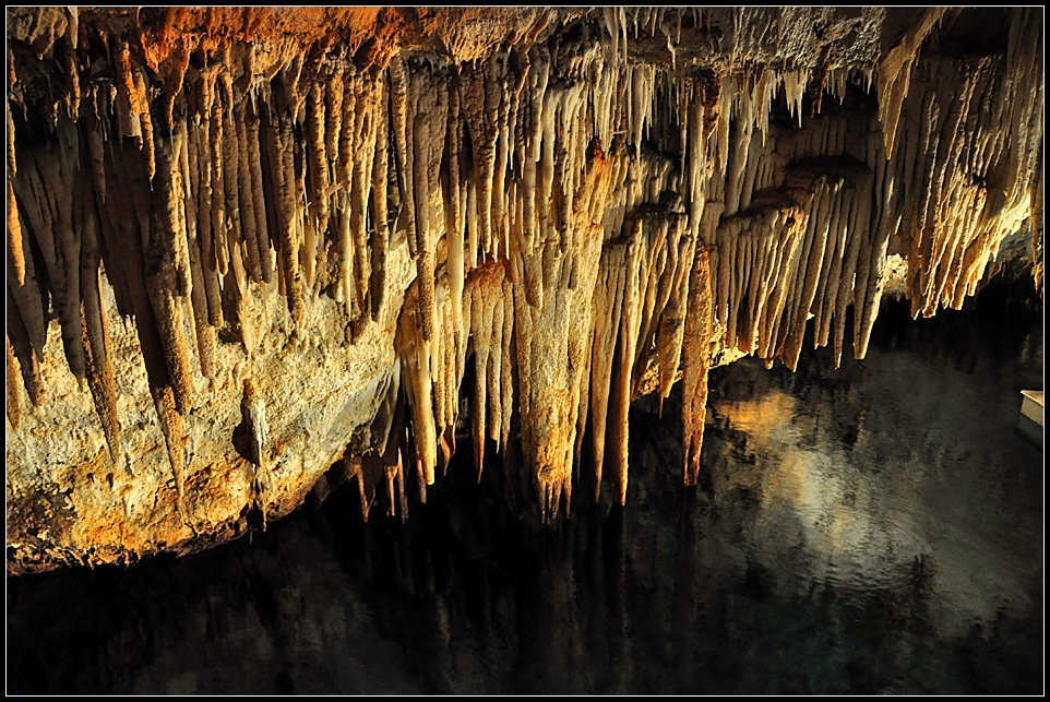 DSC_4222_1.jpg