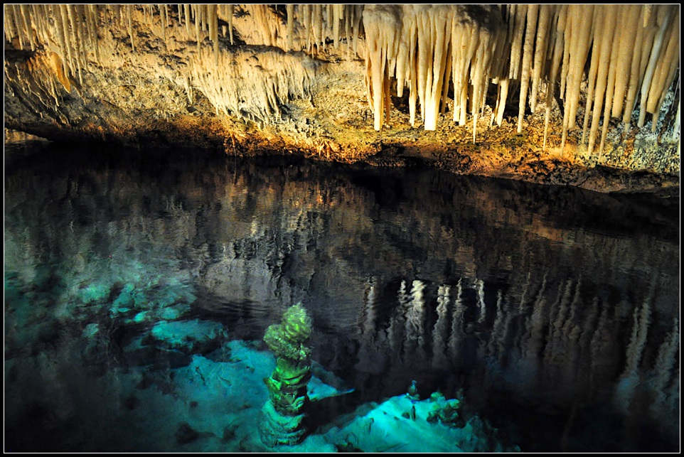 DSC_4272_1.jpg