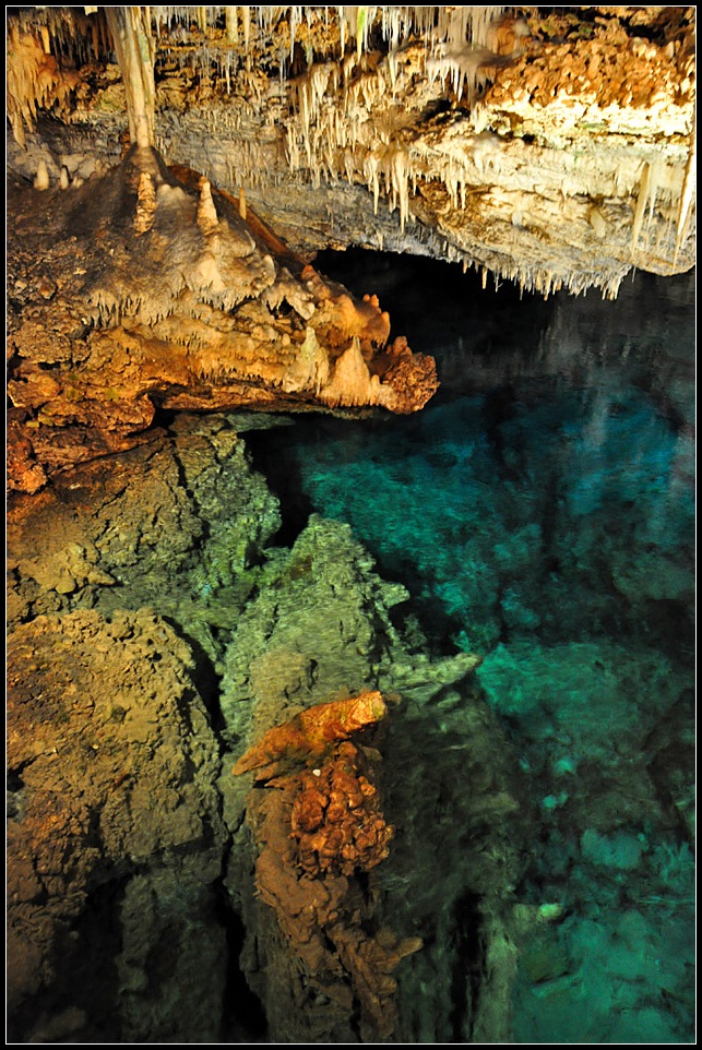 DSC_4321_1.jpg