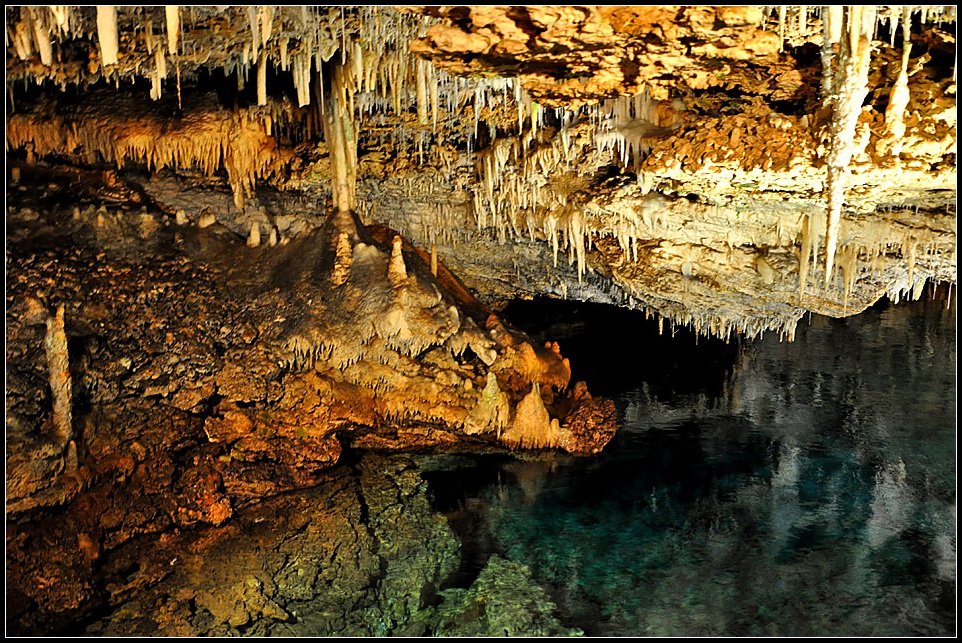 DSC_4329_1.jpg