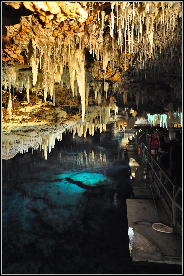 DSC_4332_1.jpg