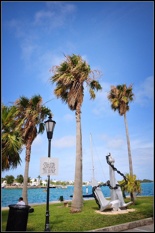 DSC_4443_1.jpg