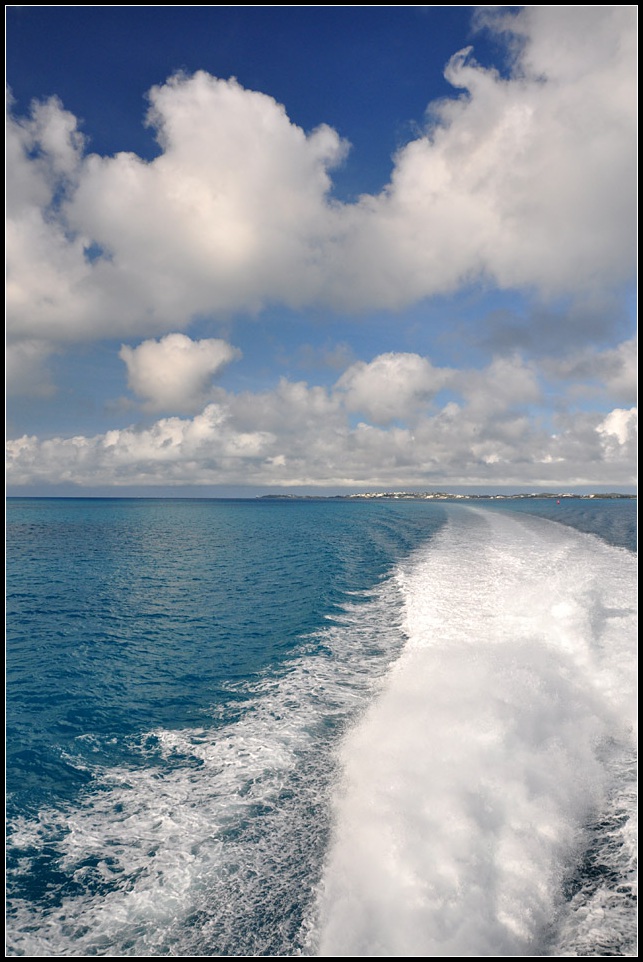 DSC_4591_1.jpg