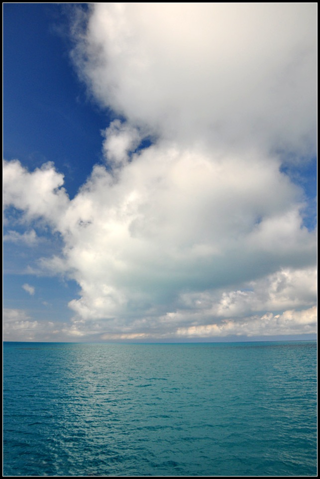 DSC_4597_1.jpg