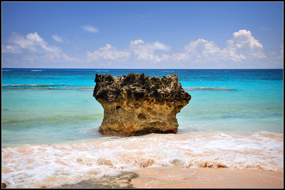 DSC_4977_1.jpg