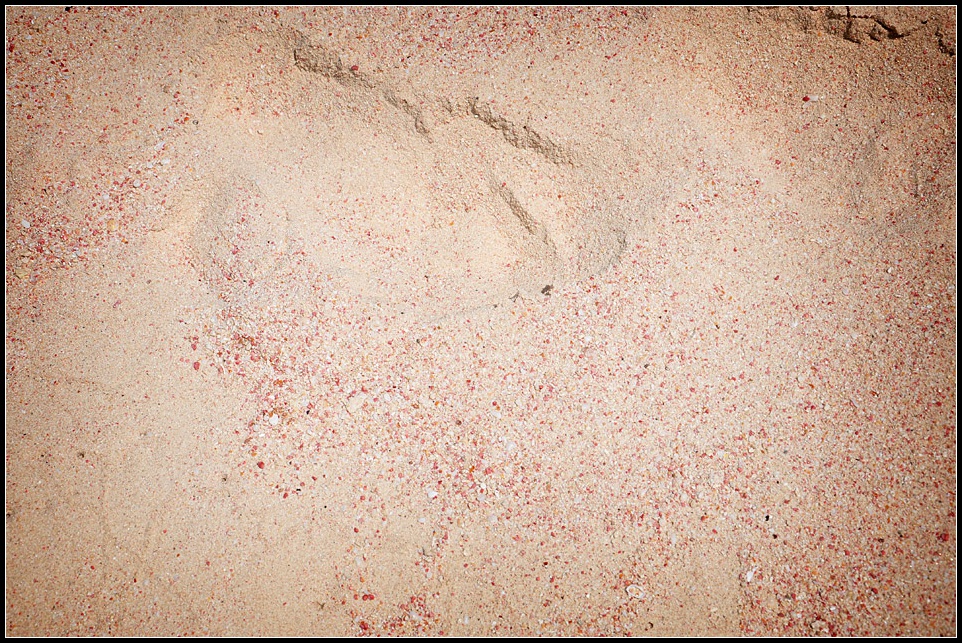 DSC_5033_1.jpg