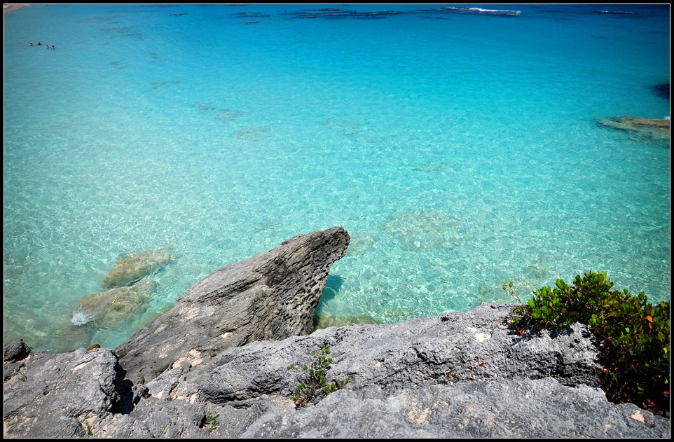 DSC_5047_1.jpg