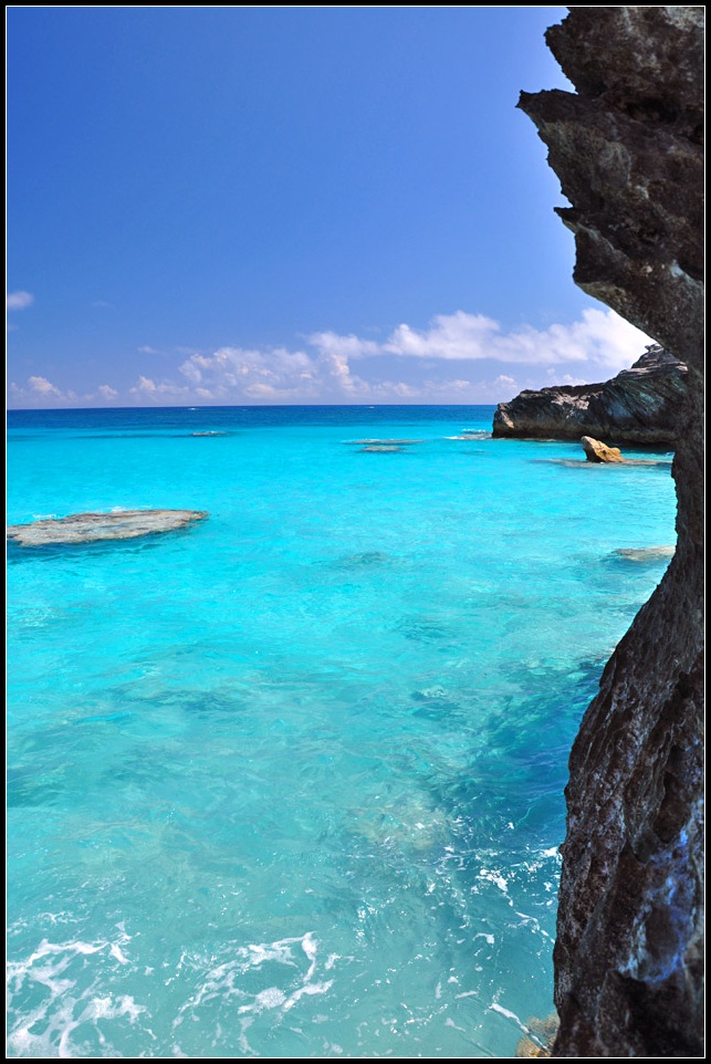 DSC_5164_1.jpg