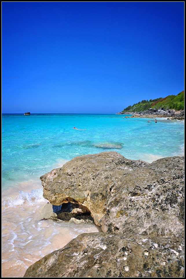 DSC_5318_1.jpg