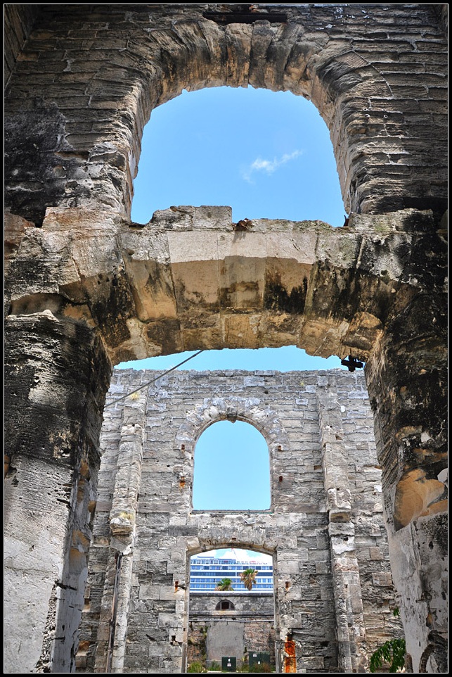 DSC_5572_1.jpg