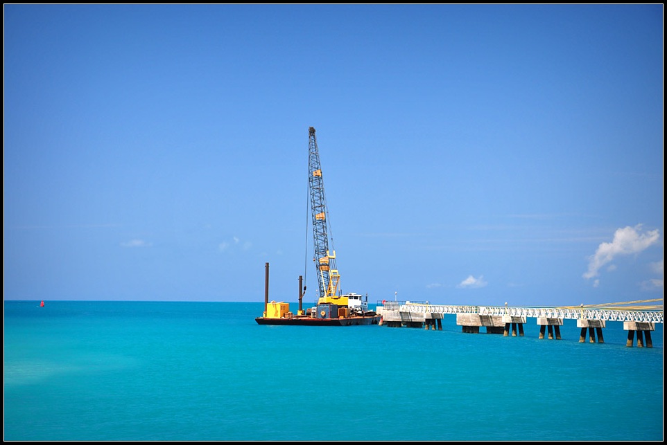 DSC_5593_1.jpg