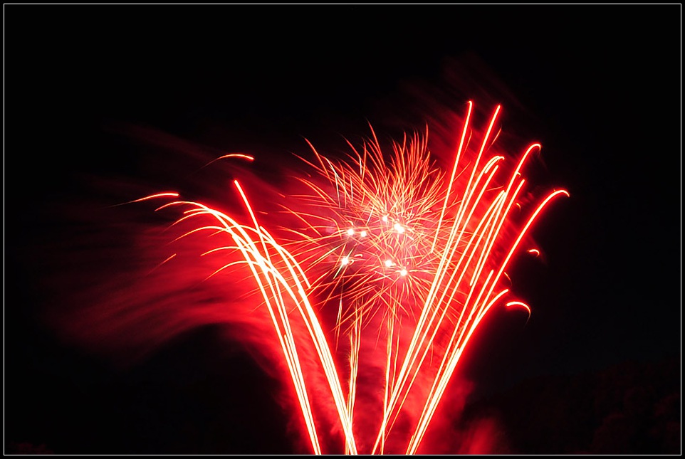 DSC_6341_1.jpg
