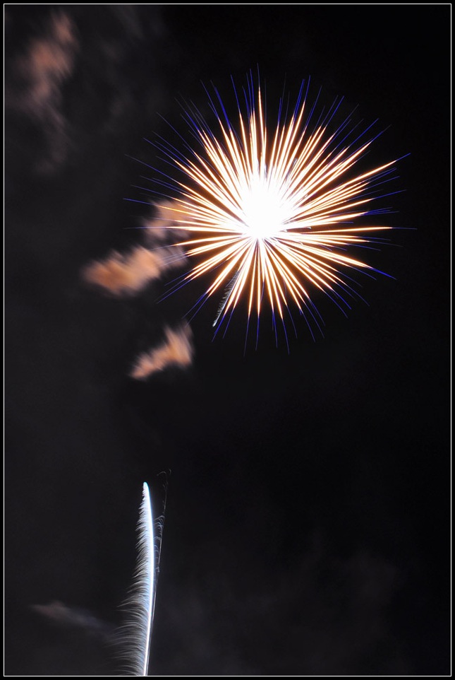 DSC_6352_1.jpg