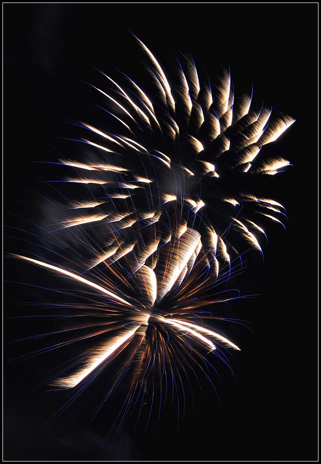 DSC_6373_1.jpg