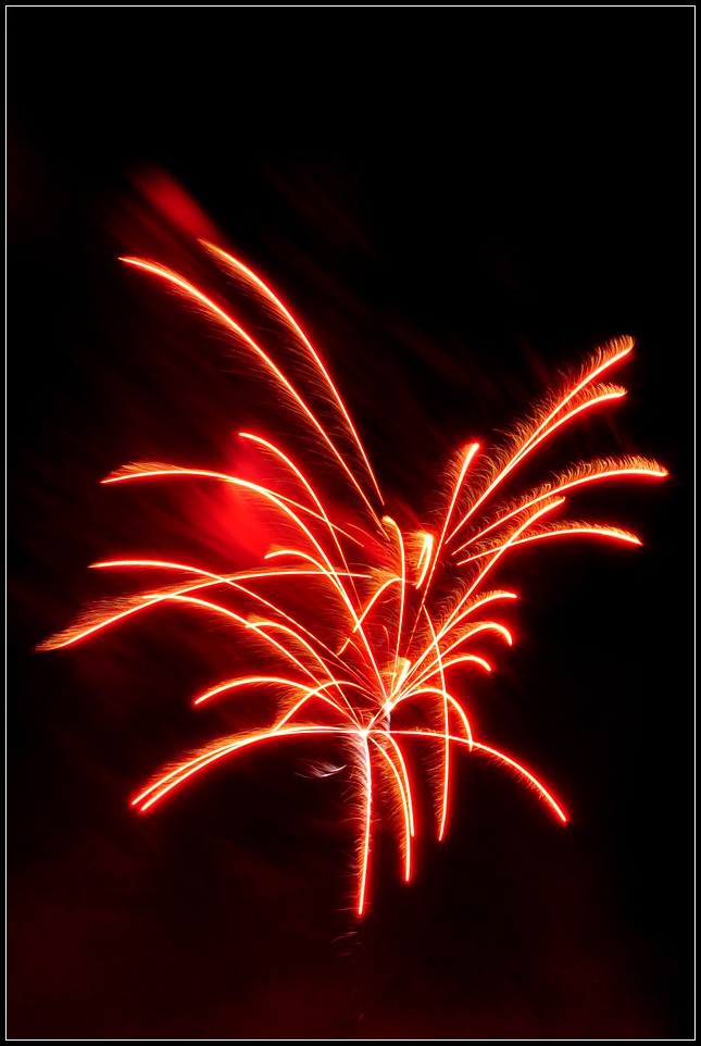 DSC_6437_1.jpg