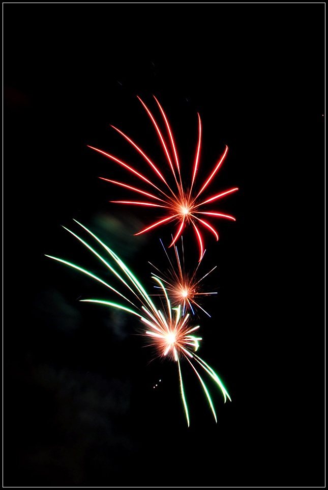 DSC_6472_1.jpg